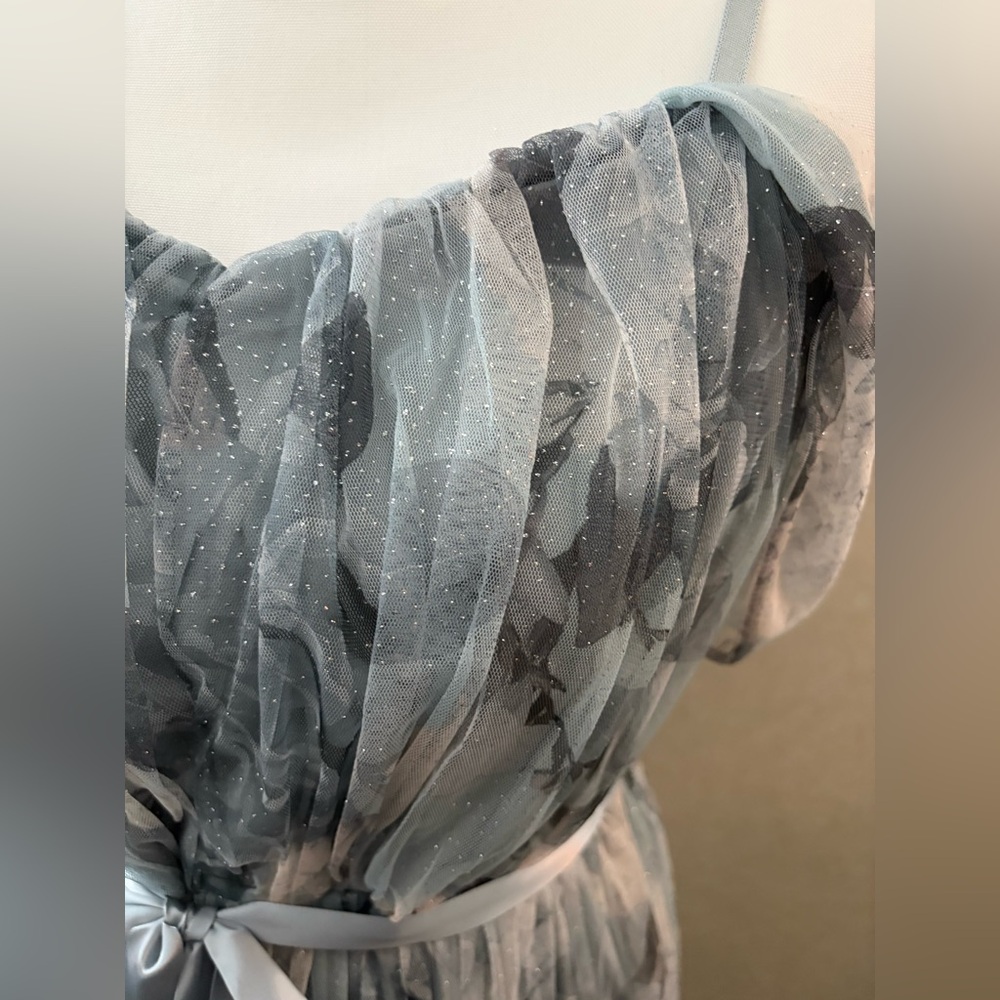Blue Floral Sheer Maxi Dress with Belt - Picture 2 of 4